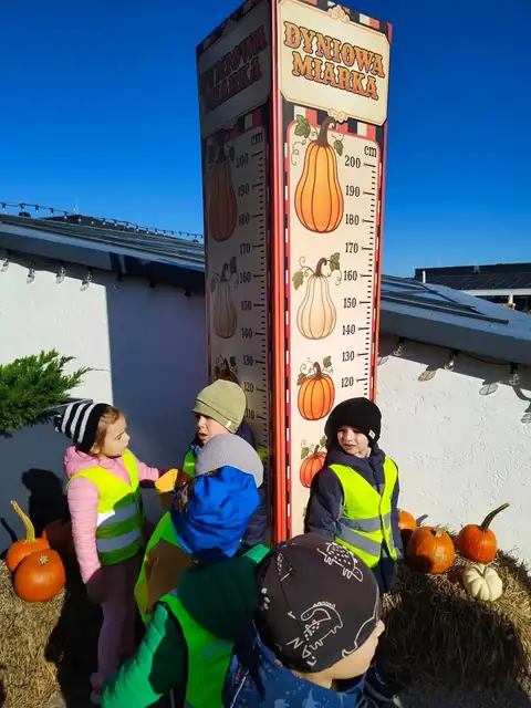 Mierzenie wzrostu na dyniowej miarce