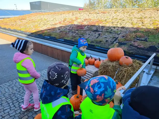 Przedszkolaki przy dyniach na dachu galerii