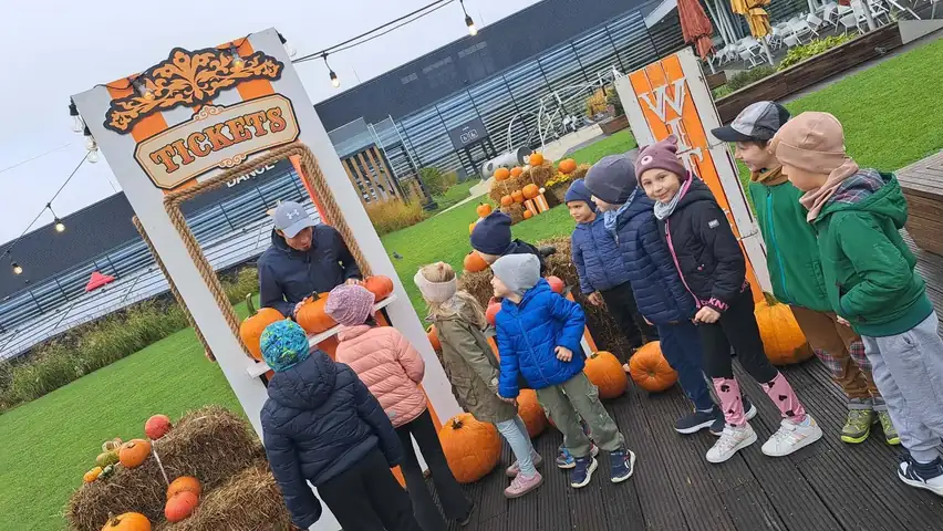 Zajączki wśród dyniowych dekoracji