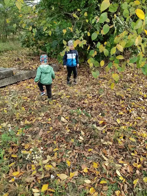 Zbieranie jesiennych liści na spacerze