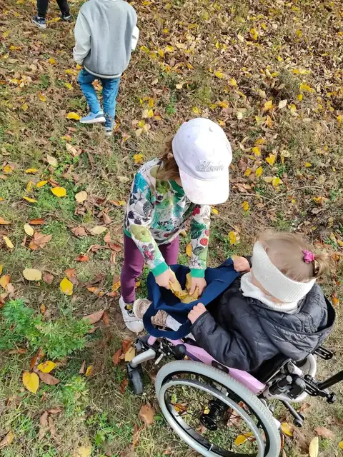 Zbieranie jesiennych liści na spacerze