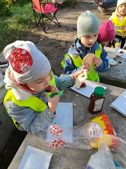 Jeżyki i Liski jedzą kiełbaski z ogniska