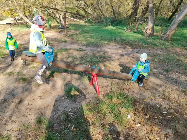 Zabawa na huśtawce-ważce