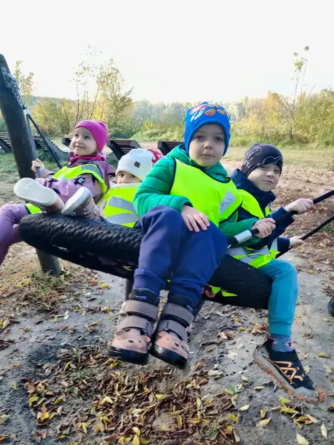 Huśtawka-gniazdo nad Wisłą