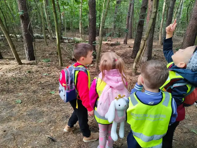 Przedszkolaki w kamizelkach odblaskowych na leśnej ścieżce