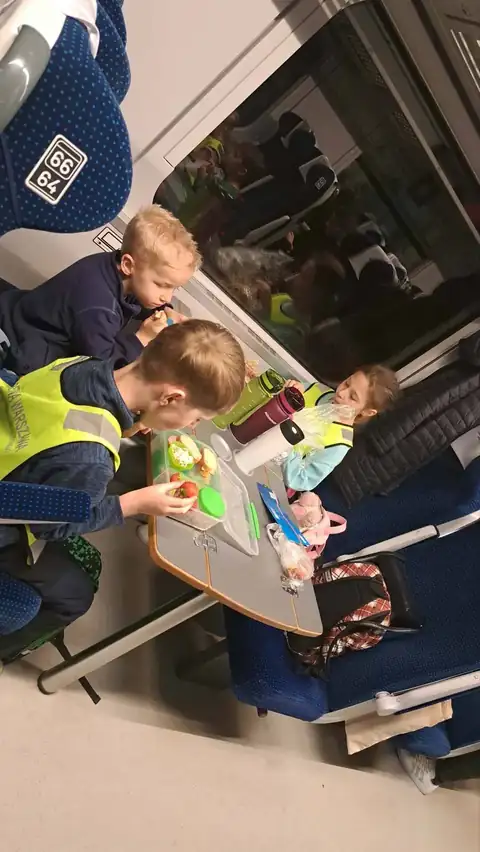Zajączki grają w karty w pociągu do Łowicza