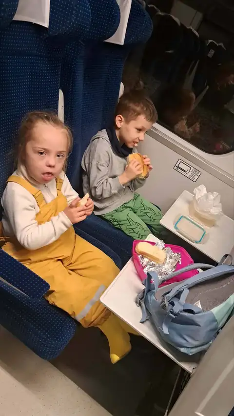 Zajączki grają w karty w pociągu do Łowicza