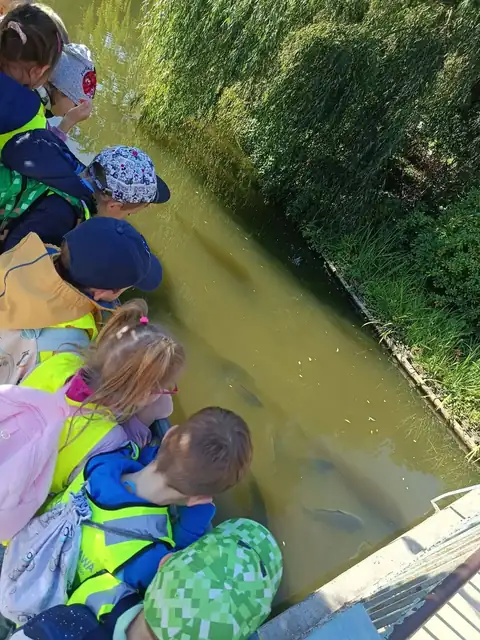 Przedszkolaki zaglądają do stawu