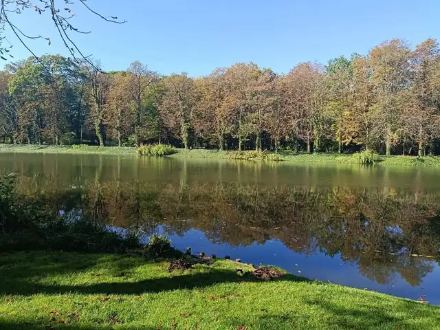Jesienny staw w Łazienkach Królewskich