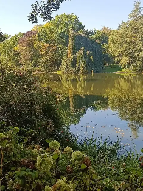 Jesienny staw w Łazienkach Królewskich