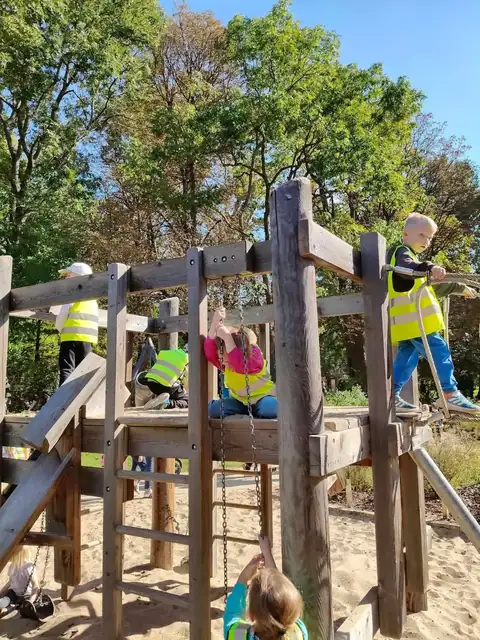Zabawa na drewnianym placu zabaw w Łazienkach