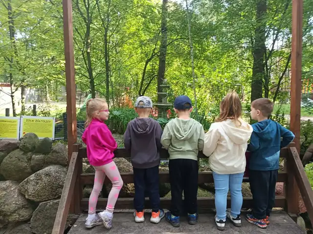 Spacer obok oczka wodnego