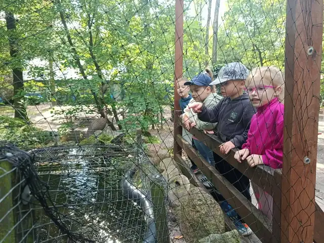 Spacer obok oczka wodnego