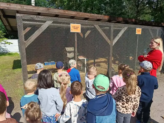 Kury i ptactwo w kurnikach