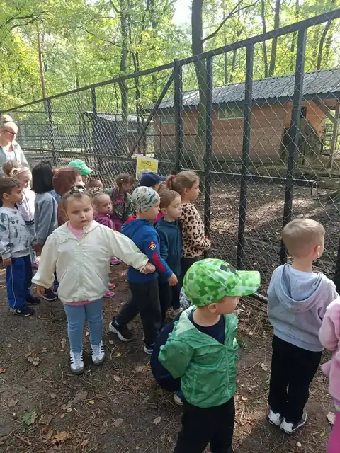 Przedszkolaki zaglądają do zagrody ze zwierzętami