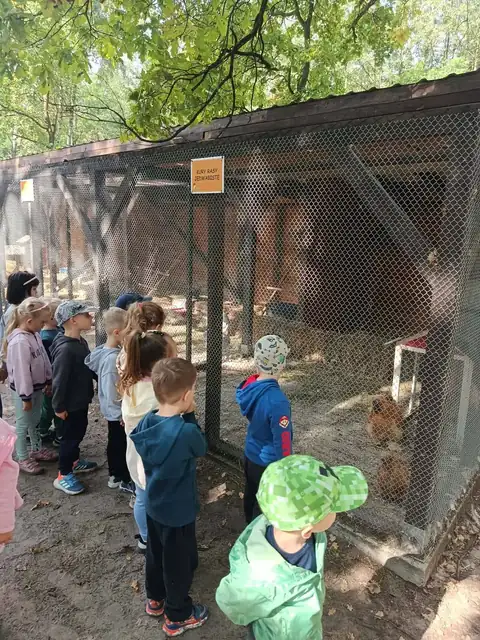 Kury i ptactwo w kurnikach