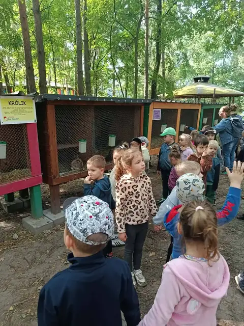 Kury i ptactwo w kurnikach