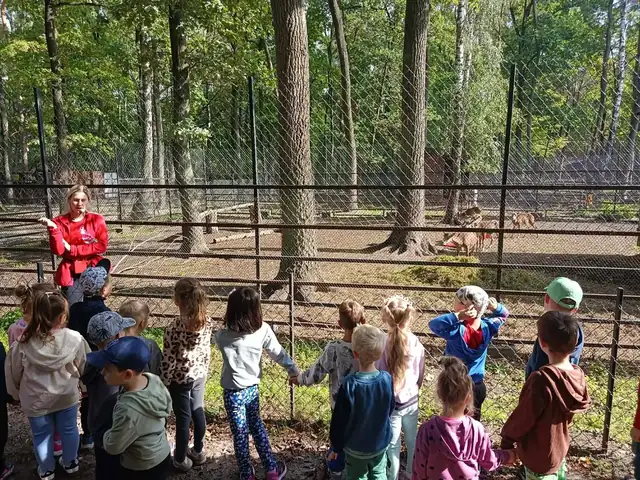 Strusie w zagrodzie