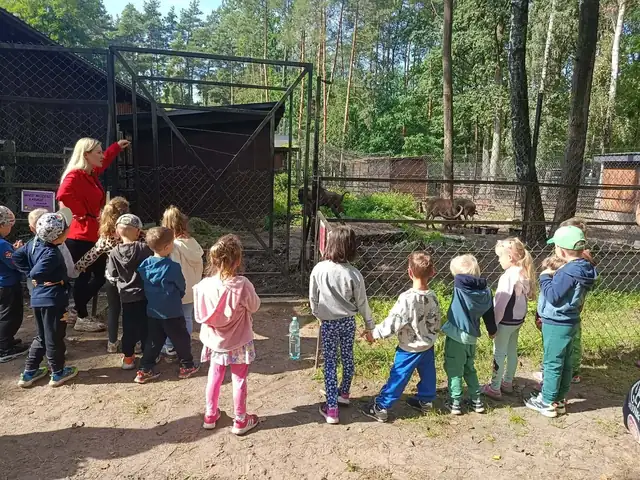Konie i lamy w zagrodzie