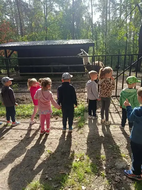 Konie i lamy w zagrodzie