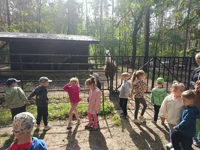 Konie i lamy w zagrodzie