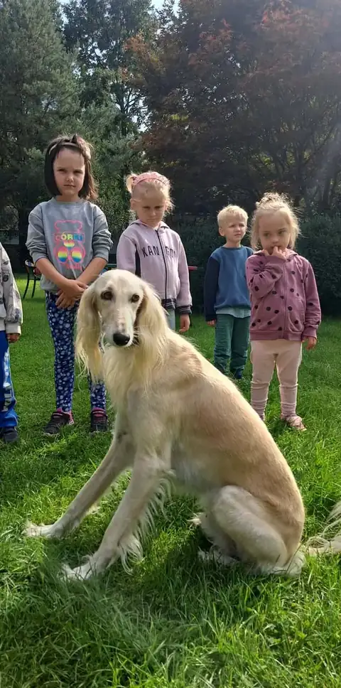Przedszkolaki z psem