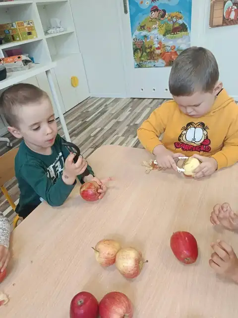 Obieranie jabłek na szarlotkę